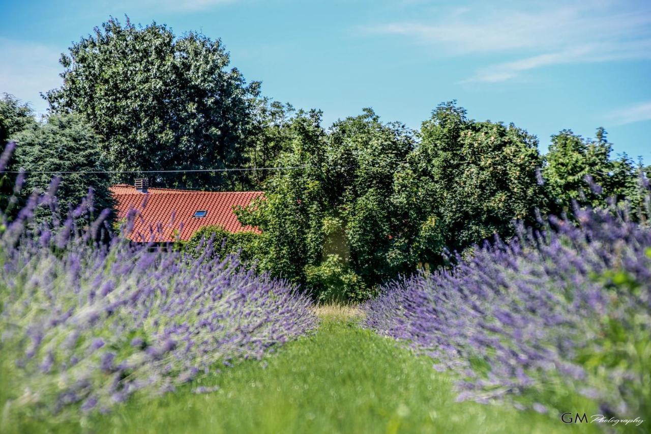 Azienda Agricola La Macina Bregnano Kültér fotó